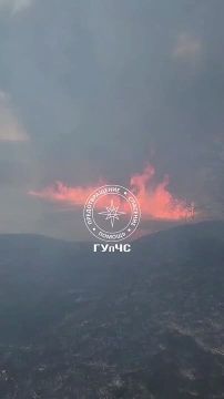 �������� �������� ������ ��������� ���������� � �������� � �����:
