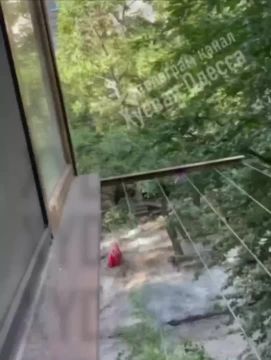 � ������ ��������� �������� ������� ����� ���, ������� ������������� ����� �� �� ������