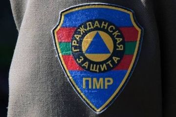 ������ ����������� ������ ������������� � 35 ���