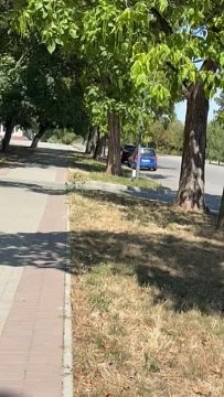 Амброзию скосили в Бендерах на набережной возле ЗАГСа