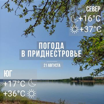 Днём – до +37°С, без осадков