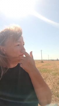 40 гектаров земли могут отобрать из-за амброзии у землепользователя в Слободзейском районе