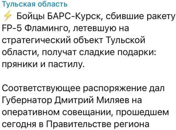 Никто не уйдет без подарка! Бойцы, сбившие ракету Фламинго из пулемета, получат пряники и пастилу, распоряжение губернатора Тульской области Дмитрия Миляева