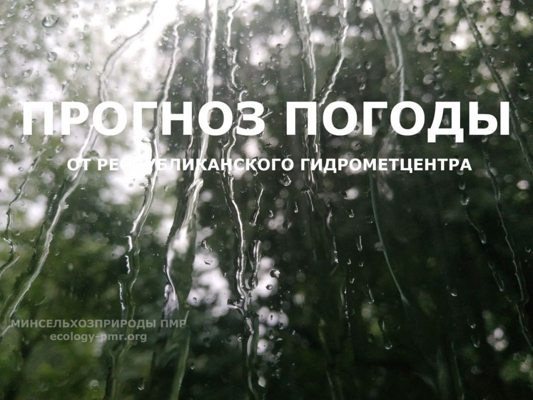 Доброго утра!. Сегодня, 25 августа, ожидается переменная облачность, местами кратковременный дождь, утром возможно гроза