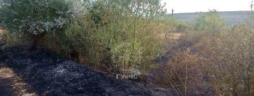 У села Гидирим в Рыбницком районе выгорело 8 гектаров сухой травы и стерни