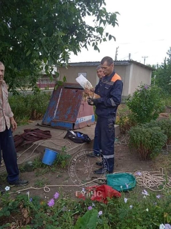В селе Катериновка Каменского района котёнок провалился в глубокий колодец