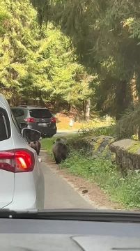 ������� ������� ������ ������ �� ������������� � �������, ����� ����������� ���� ������� ������������ ���������� �� ��������