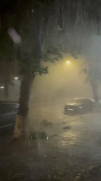 ������ ������ �������� ������� �������