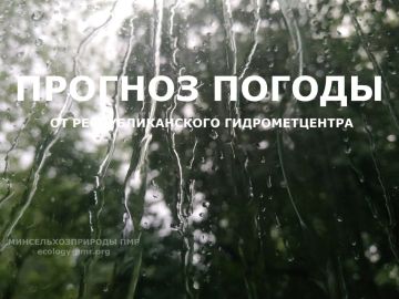Доброго утра!. Сегодня, 26 августа, ожидается облачная погода с прояснениями, утром и днем кратковременные дожди, местами сильные