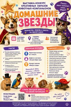 Бендеры ищут домашних звёзд