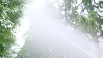 ������� ����� ������ �����