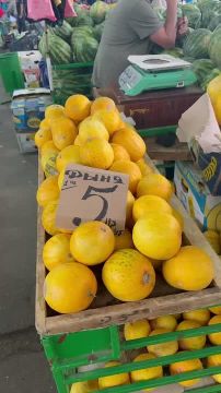 Цена на дыню «Колхозницу» сейчас самая низкая, поменьше продают за 5 рублей, побольше за 10