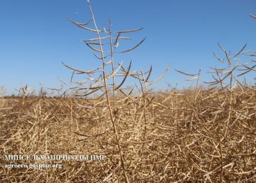 Уборочная кампания продолжается