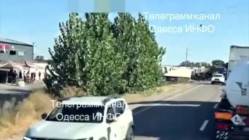 ������ � �������� ������� ������� �������� ���������� ����������� ������ ����������