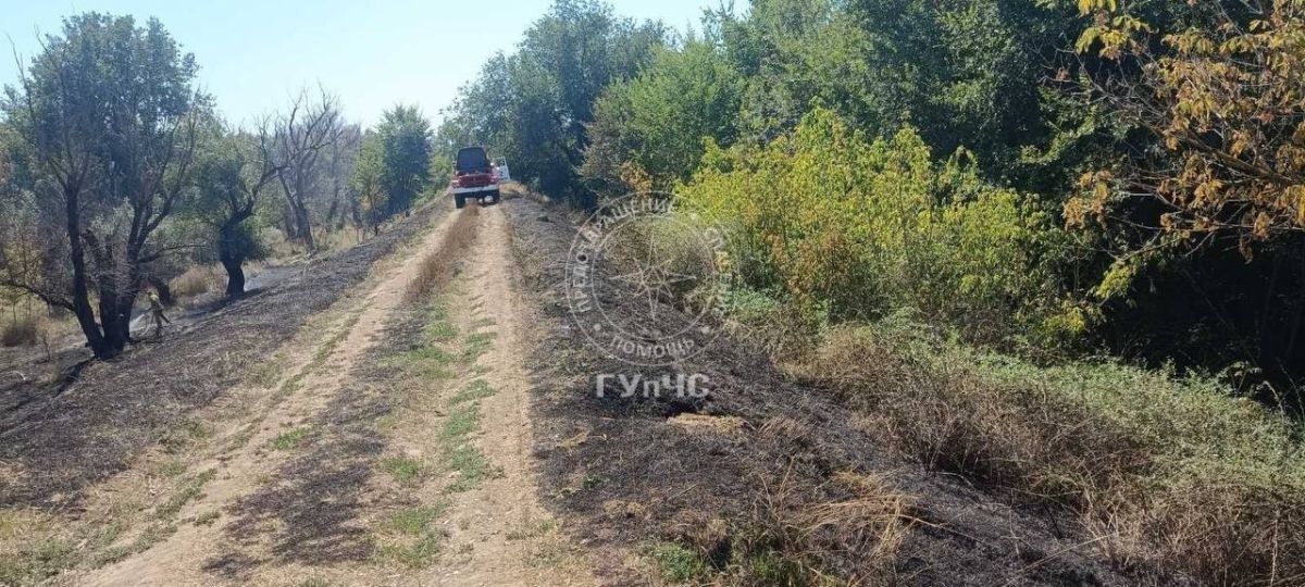 Пожар потушен. . Два расчёта из Бендер 31 августа тушили сухостой у дамбы на окраине города