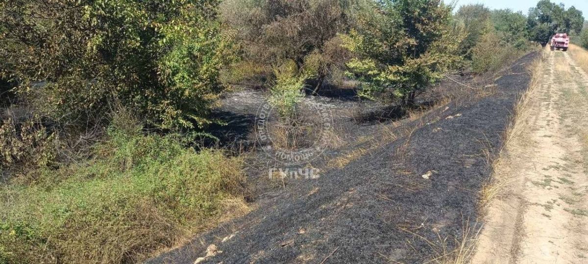 Пожар потушен. . Два расчёта из Бендер 31 августа тушили сухостой у дамбы на окраине города Пожар потушен. . Два расчёта из Бендер 31 августа тушили сухостой у дамбы на окраине города