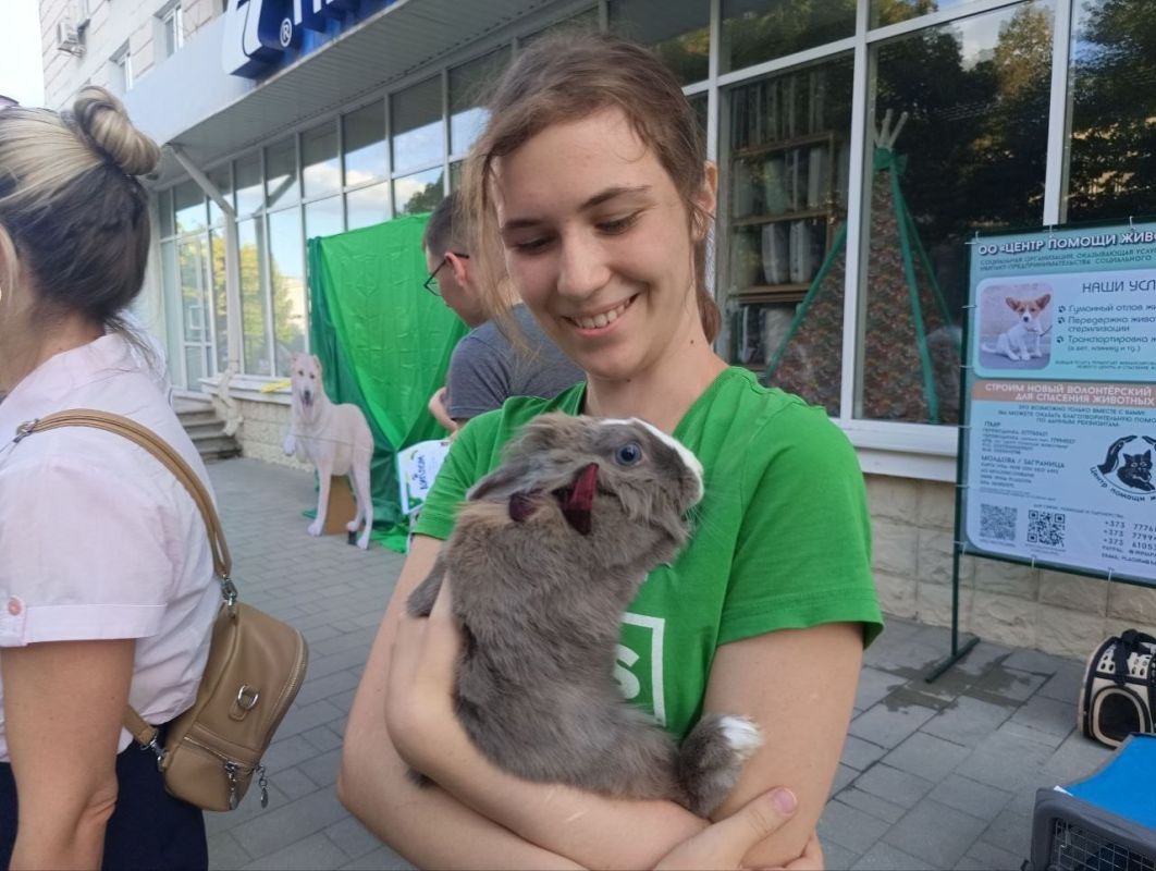 В Бендерах прошёл конкурс домашних питомцев В Бендерах прошёл конкурс домашних питомцев