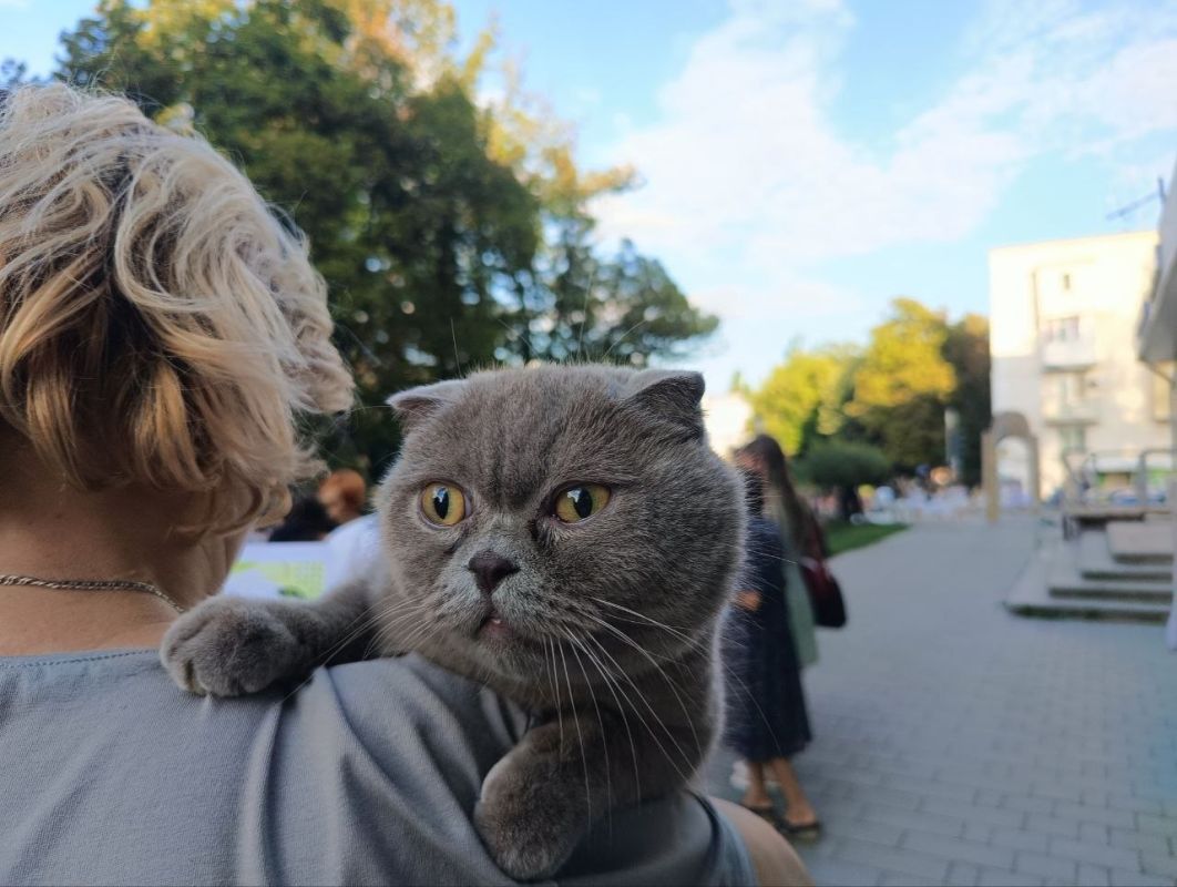 В Бендерах прошёл конкурс домашних питомцев В Бендерах прошёл конкурс домашних питомцев