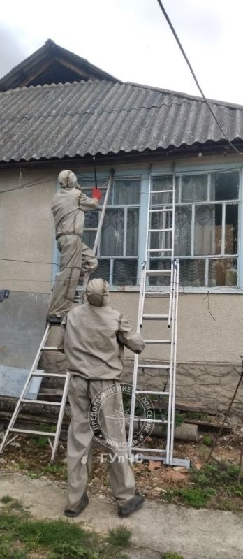 Большой рой агрессивных шершней уничтожили в Рашкове