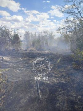 Пожар в лесополосе. Более двух гектаров сухой травы и кустарников выгорело 4 сентября в лесополосе в селе Виноградное Григориопольского района