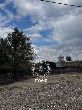В Парканах сгорело 10 гектаров сухостоя