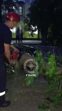 Дерево упало на авто. Вечером 5 сентября столичные спасатели распиливали дерево на улице Космонавтов, которое упало на два автомобиля