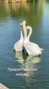 �������� ����������� �������� �� ����� � �������������� �����