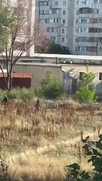 Жужжание разносится над микрорайоном Южный в Тирасполе