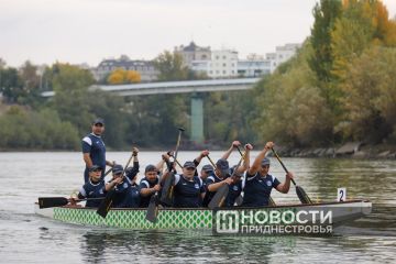 На регате ко дню образования ГТК впервые пройдут гонки на «драконах» на дистанции 1 км. Это – первый этап соревнований