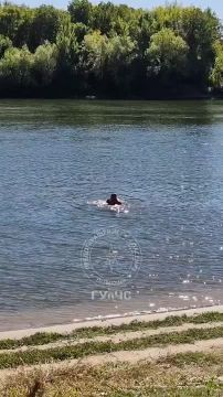 ����� ������ ������. �������� �� ��, ��� ��������� ����� ��� ���������� � ���������� �� ������ ���, ���� �������� �� �����