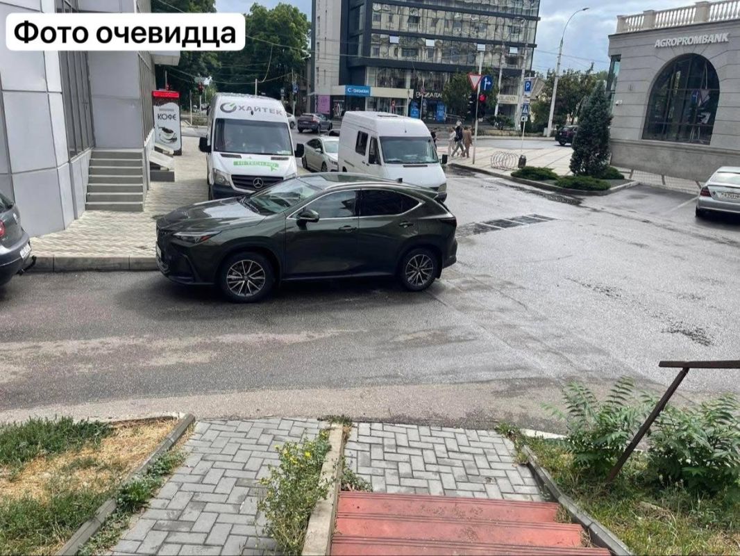 Остановились и помешали пешеходам Остановились и помешали пешеходам