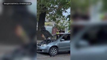 Дуб оказался прочнее. На улице Московской водитель "Skoda" не справился с управлением