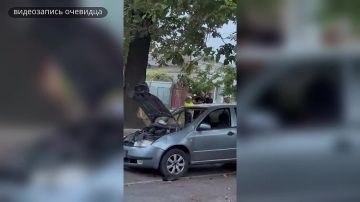 ��� �������� �������. � ������� � �������� �� ����� ���������� 43-������ �������� ������� �� ��������� � �����������