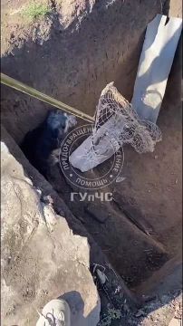 ������ ����� ���� ������� � ��������