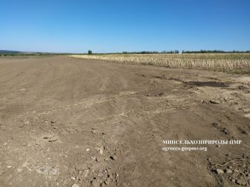 Почти 9 га земли восстановили после добычи полезных ископаемых