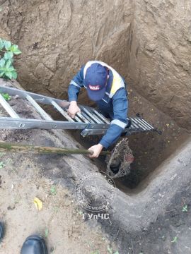 У слободзейских спасателей вчерашний день был богат на «собачий улов»