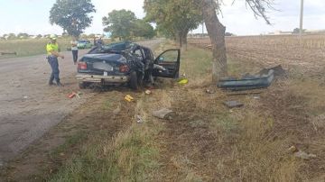 «БМВ» врезался в дерево из-за пробитого колеса