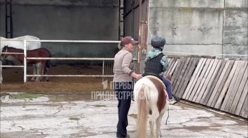 Трёхлетний Вася уже год учит новые слова верхом на пони