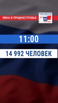 14 992 человека проголосовали в Приднестровье к 11:00