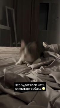 ��������� ������. � ���� ����������� ���, ������� ���� ������ � �������� � ������� �� �������