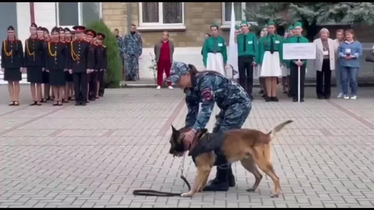 Слёту ЮИД дан старт. . В Бендерах на территории кадетского корпуса МВД прямо сейчас проходит финальный этап Республиканского слёта «Юный инспектор движения Приднестровья»