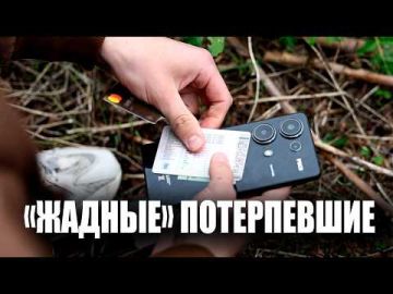 63 дерева спилили двое приятелей из Григориопольского района