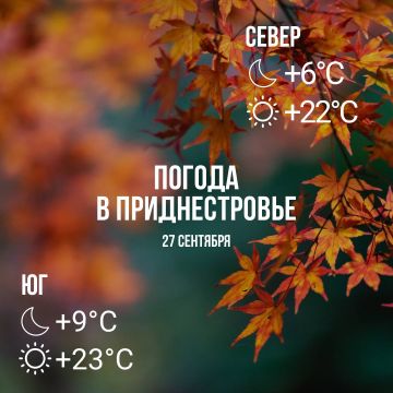 ���� � �� +23��