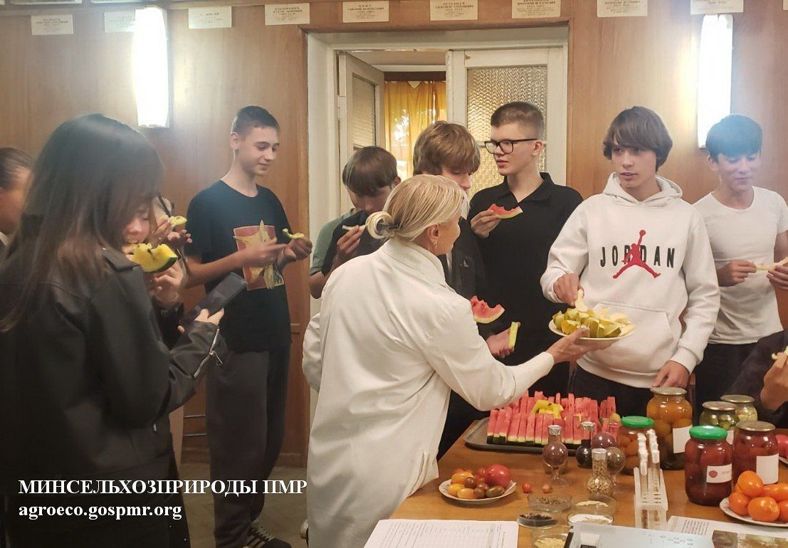 Попробовали дыню, арбуз, помидоры и не только Попробовали дыню, арбуз, помидоры и не только