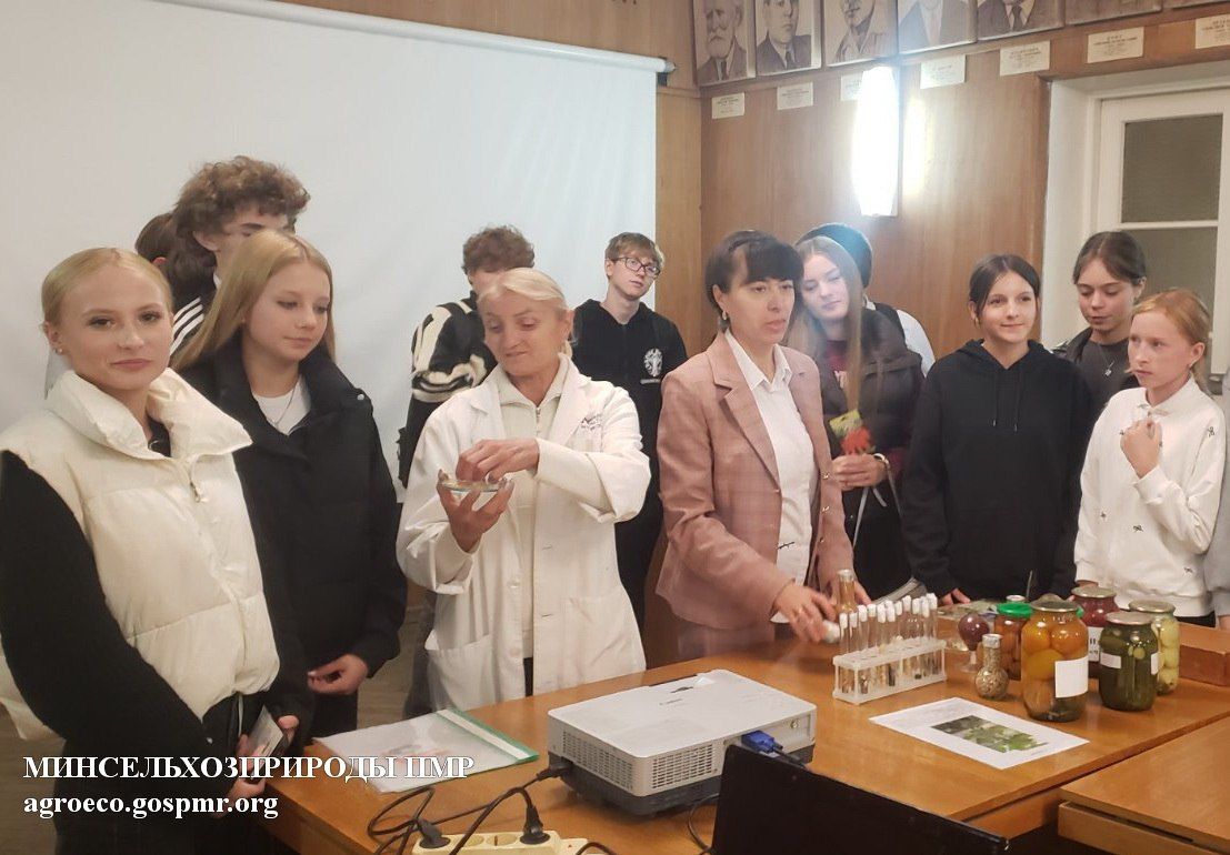 Попробовали дыню, арбуз, помидоры и не только Попробовали дыню, арбуз, помидоры и не только