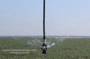 Минсельхозприроды и аграрии выработали совместные решения по стабилизации подачи воды от ГНС «Парканы»
