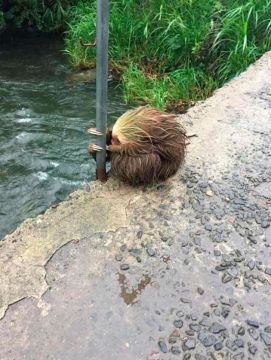� ��� �������� ����� ��� ��-�� �������� �����