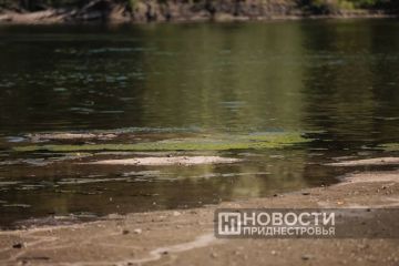������ ������: �������� ������� ���
