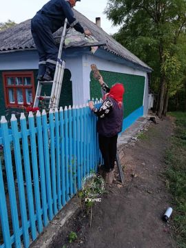 Охота на ос в Колбасне. Агрессивные насекомые поселились под крышей дома пенсионерки