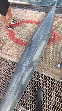 ������� ������������ �� ������ ��������� �� ������ � ��������� ��-�� ����������� �������